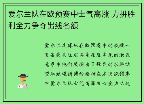 爱尔兰队在欧预赛中士气高涨 力拼胜利全力争夺出线名额